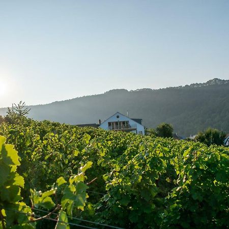 Weingut Johanneshof Minheim Exteriér fotografie