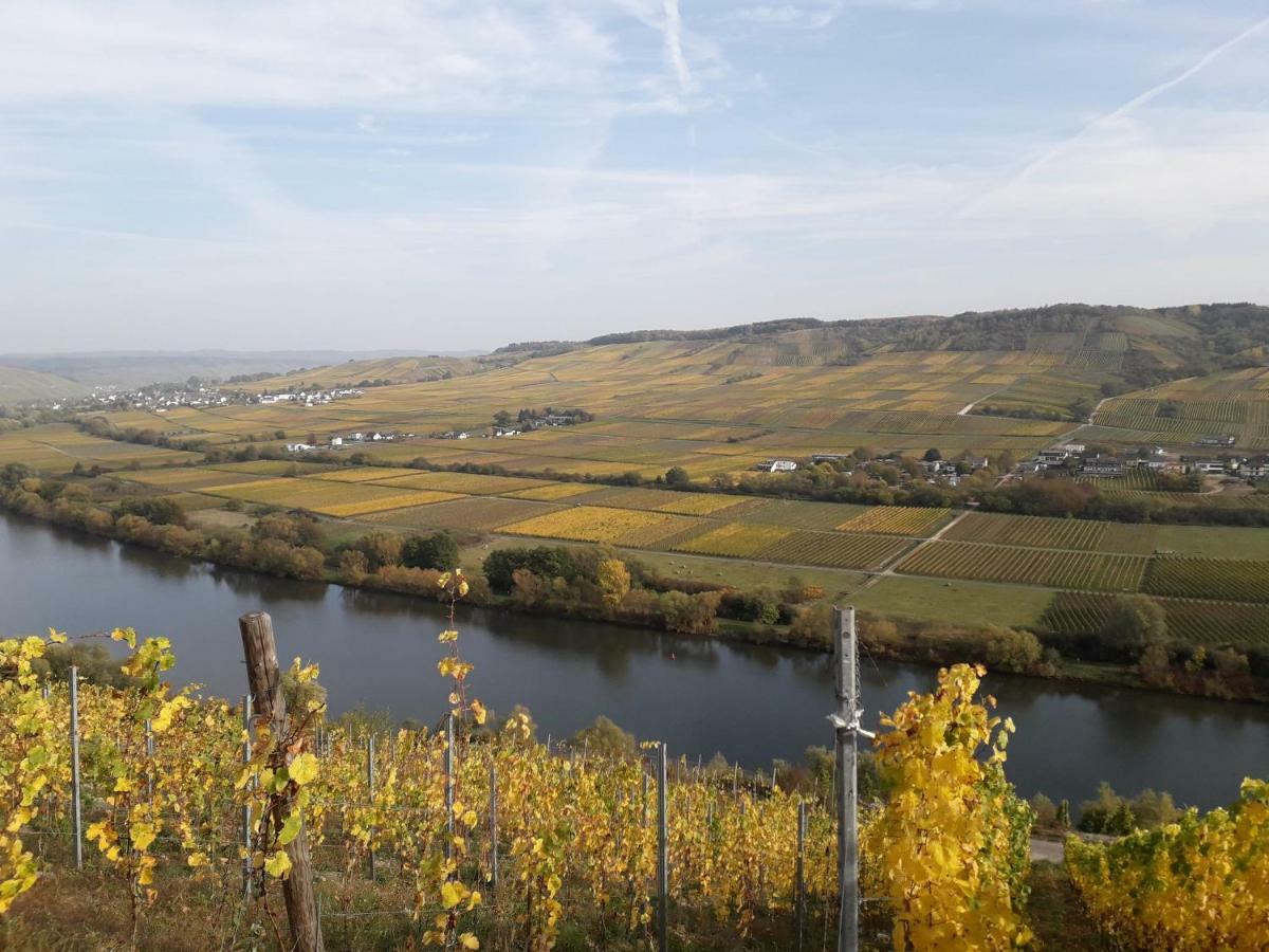 Weingut Johanneshof Minheim Exteriér fotografie