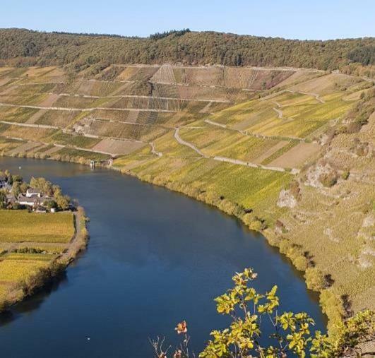 Weingut Johanneshof Minheim Exteriér fotografie