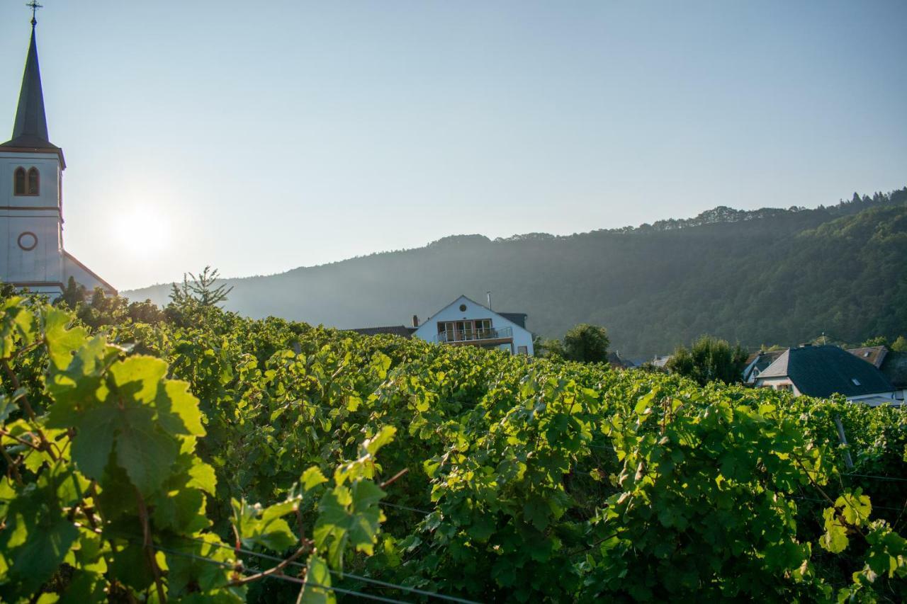 Weingut Johanneshof Minheim Exteriér fotografie