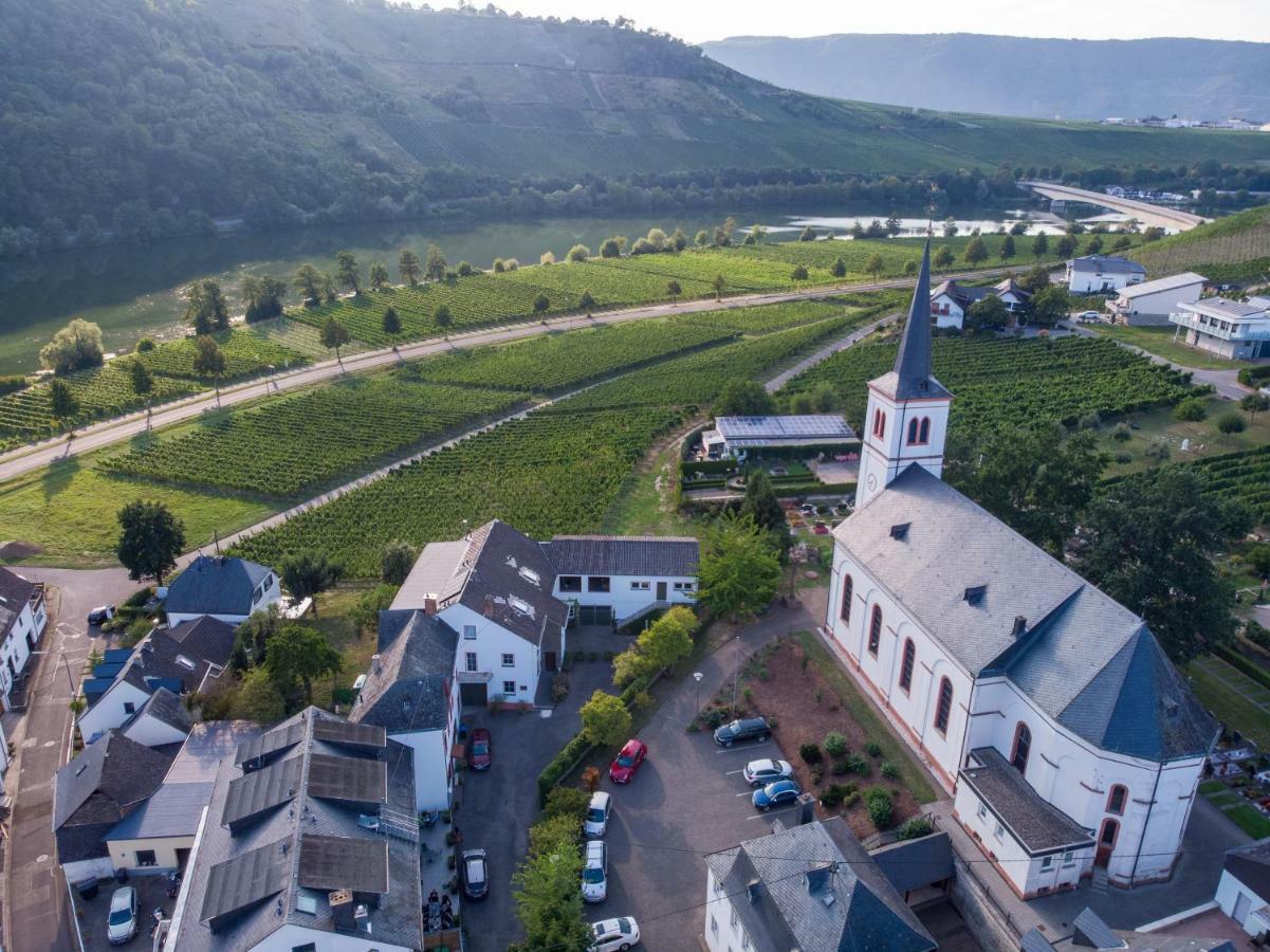 Weingut Johanneshof Minheim Exteriér fotografie