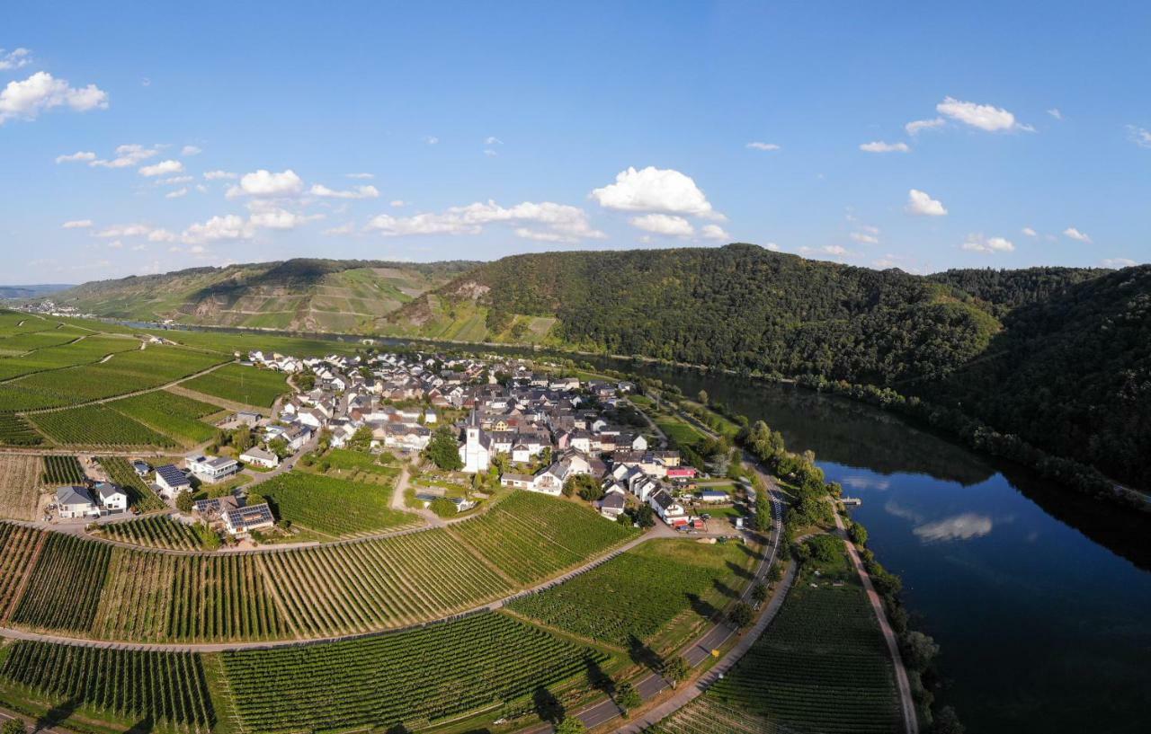 Weingut Johanneshof Minheim Exteriér fotografie