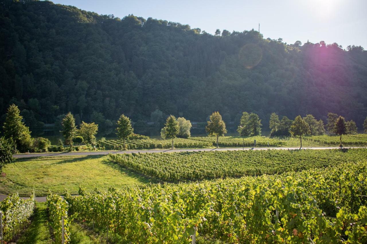 Weingut Johanneshof Minheim Exteriér fotografie